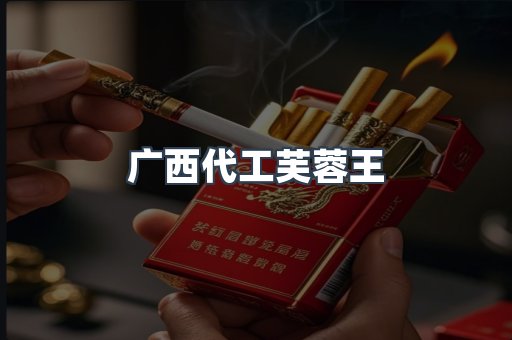 广西代工芙蓉王
